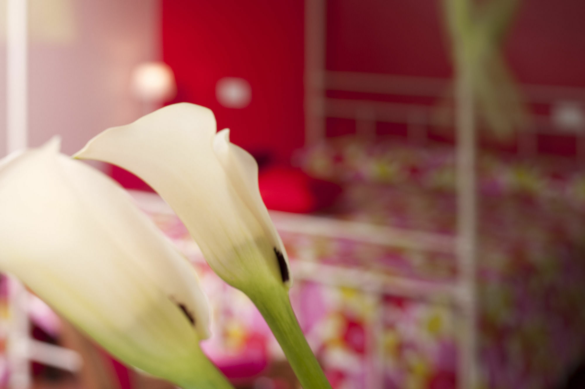 Bed and Breakfast Antico Granaione Rapolano Terme Exterior foto